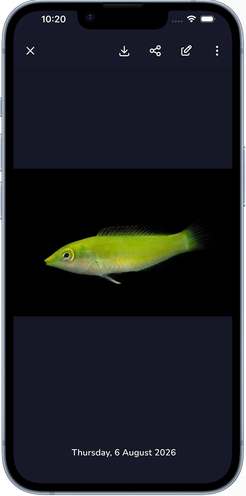 Aquafy photo journal screen