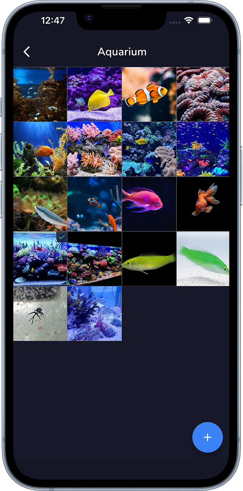 Aquafy photo journal screen