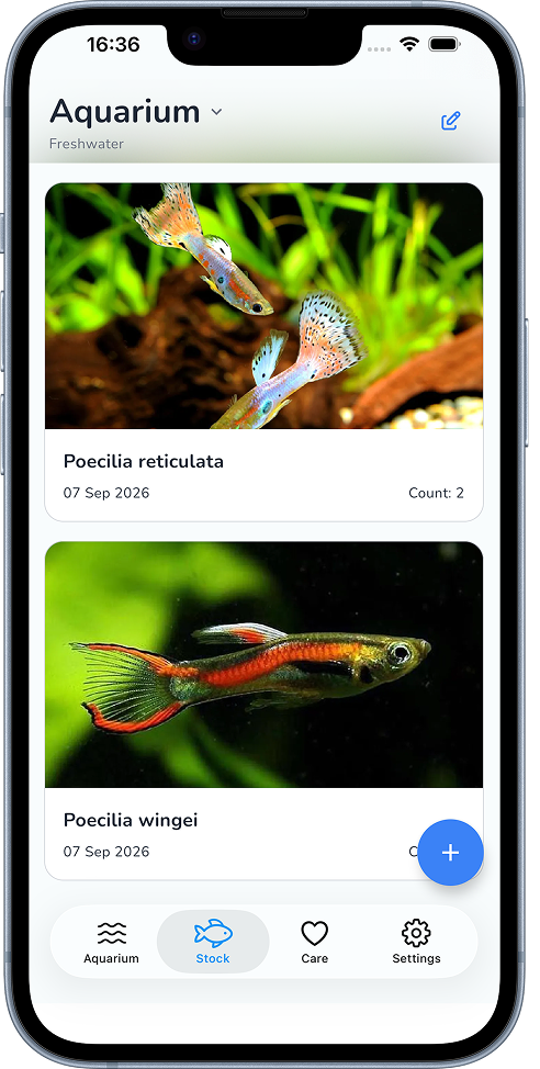 Aquafy aquarium livestock list